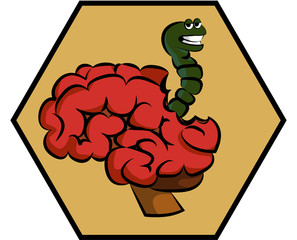 The worm affects the brain