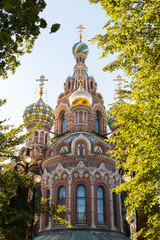 Church of the Resurrection of Christ the Savior on Spilled Blood in the trees.