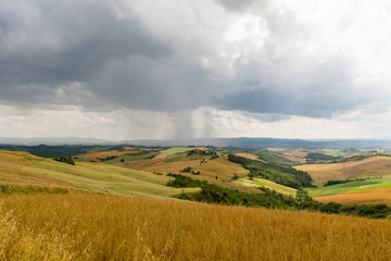 Fototapeta premium Light and shadow with hills and trees during a rainy day