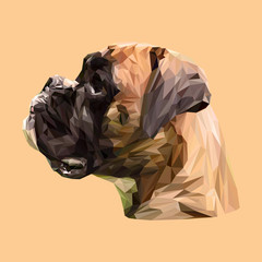 Boxer Dog animal low poly design. Triangle vector illustration. - 115471680