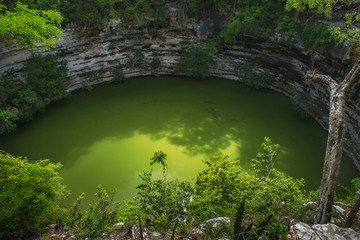 Sagado Cenote