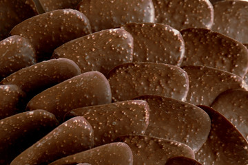 Chocolate chips background