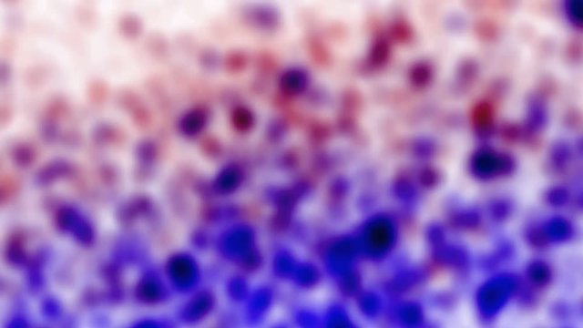 Fast Purple And Blue Blured Falling Particles Like Snow Abstract Background