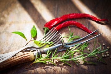 Herbs and spices in wooden background, close up