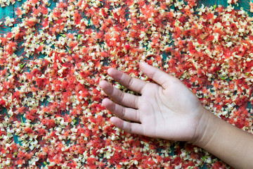 red flowers fell on the wooden floor and hand