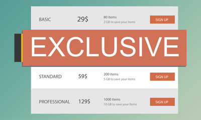 Exclusive Deal Discount E-commerce Shopping Concept