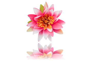 Fototapeta premium pink artificial flower on background