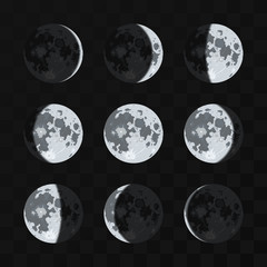 Moon phases vector set. Night moon and nature full moon illustration