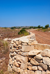 Fototapeta na wymiar The stone fences stretch across the fields of Qrendi, Malta.