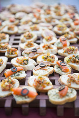 Appetizer canape with salmon