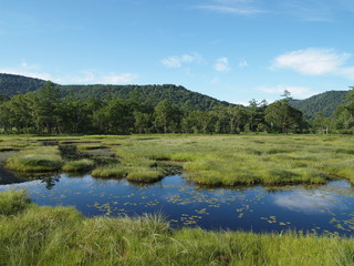 夏の尾瀬ヶ原　