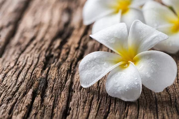 Deurstickers witte Plumeria op hout achtergrond © kwanchaichaiudom