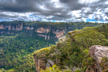 Fototapeta premium Blue mountains national park, Australia