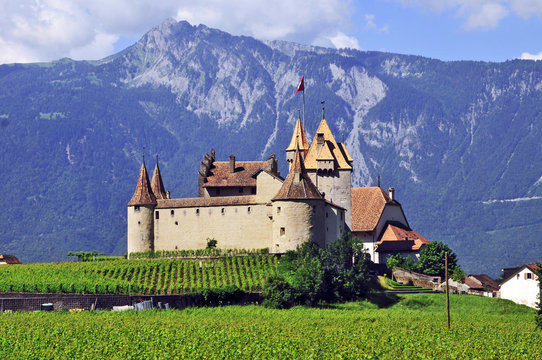 Il castello di Aigle, Cantone di Vaud - Svizzera