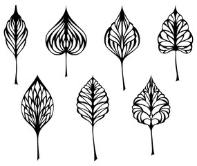 Fototapeta premium Set of leaves.