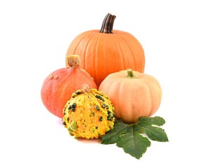 Decorative pumpkins  for halloween. 