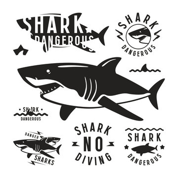 Shark dangerous emblems