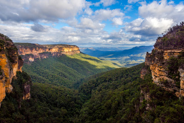 Blue mountains national park, Australia - 115490423