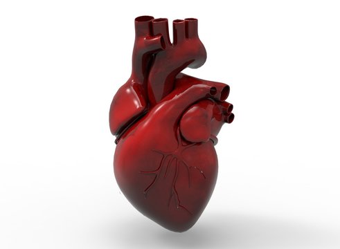  3d illustration of heart. icon for game web. white background isolated. anatomy part of the body.