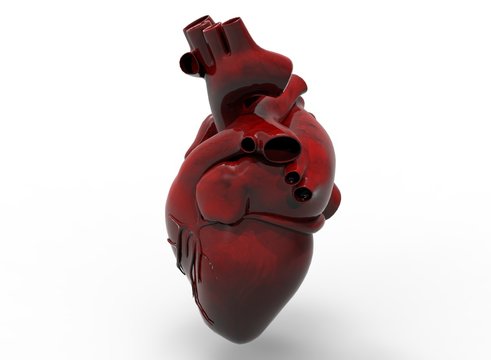  3d illustration of heart. icon for game web. white background isolated. anatomy part of the body.