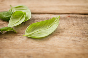 fresh basil leaves on wood
