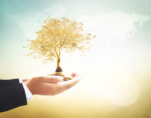 Investment concept:  Businessman hands holding stacks of golden coins and big tree on blurred world map of clouds background
