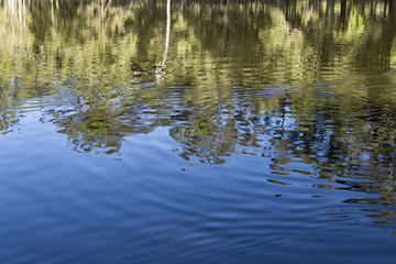 Reflections