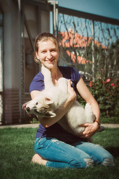 Young girl playing with a dog. Puppy Siberian Husky.Beautiful woman with husky outdoors.Woman with smiling siberian husky dog, sitting on a sunny day, on a walk with dog.