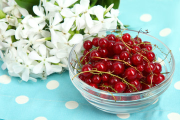 Red currants in bowl on blue napkin