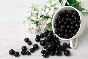 black currants in bowl on white wooden background