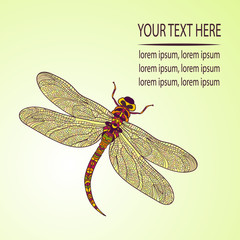 Mosaic stylized dragonfly.