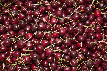 Ripe cherries on a background of cherries