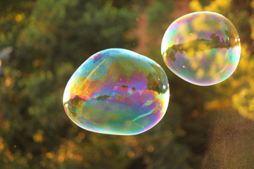 Colorful air soap big two bubbles at natural green background