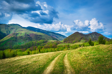 Fototapeta premium Road on the hills landscape