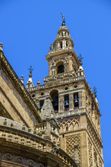 Obraz premium Cathedral of Cadiz