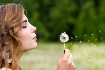 beautiful girl and dandelion