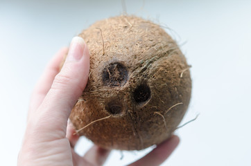 Whole little coconut