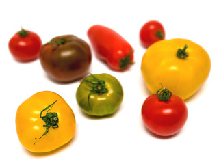 Verschiedene Tomaten