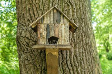Wooden tree house for birds