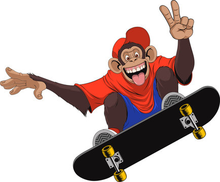 Funny monkey skateboarder