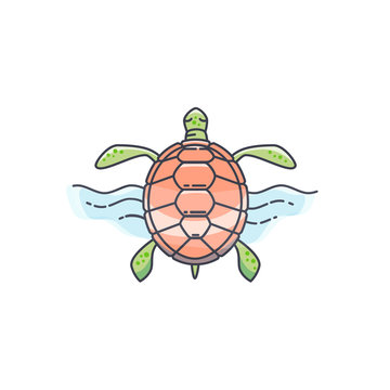 Tortoise vector illustration