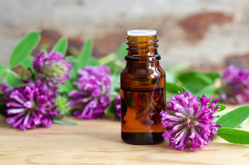 Small bottle of red clover extract (tincture, infusion, oil)