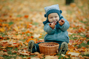little boy in autumn park