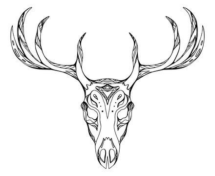 Contour illustration of a deer skull with antlers with boho pattern. Vector doodle element for printing on T-shirts, tattoo sketch, postcards and your creativity