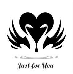 swans in black and white