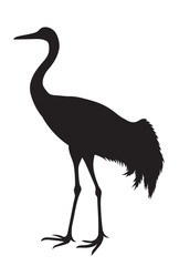 silhouette of the crane
