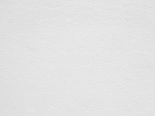 white paper texture