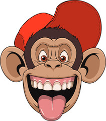 Fototapeta premium .Monkey head in a cap
