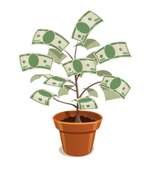 Money tree with dollars in pot