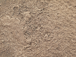 Soil texture background